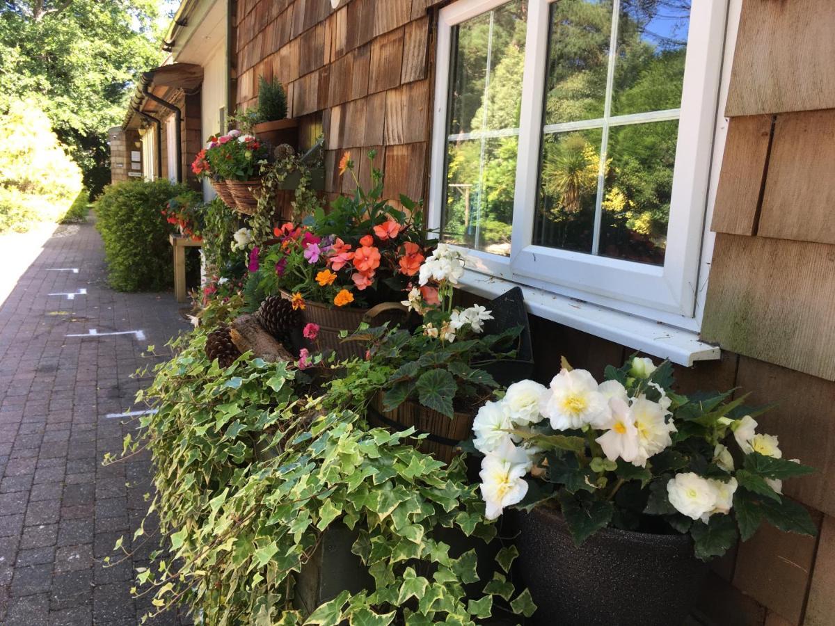 Petherton Bed & Breakfast Ringwood