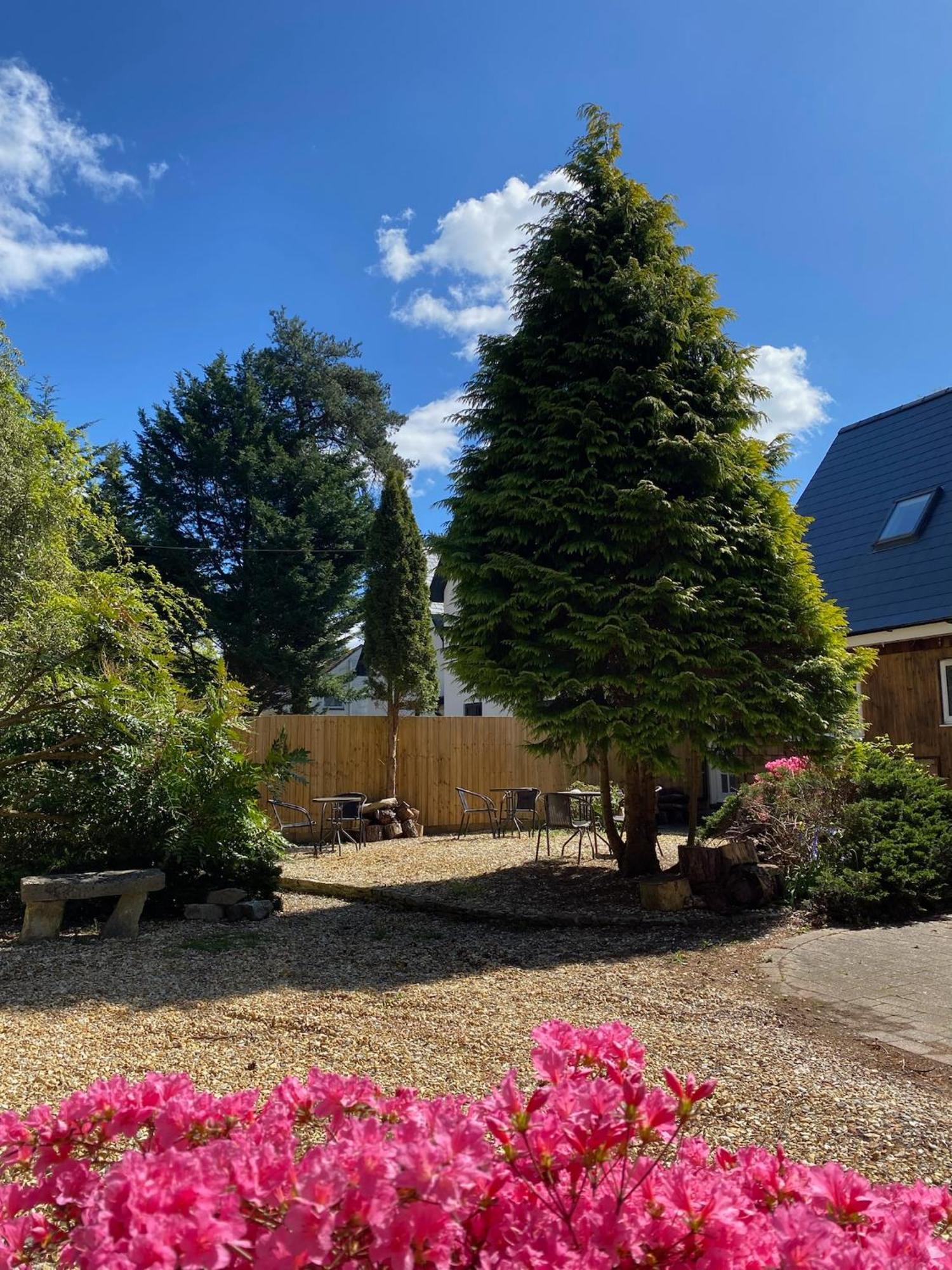 Petherton Bed & Breakfast Ringwood